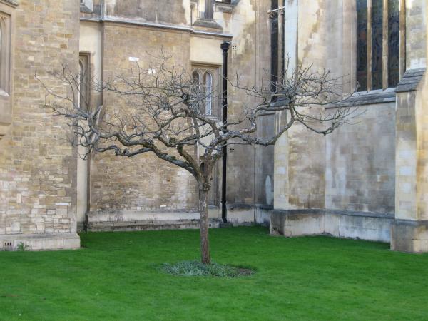 265.jpg