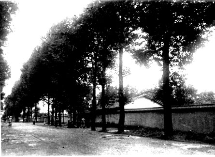 image001.j