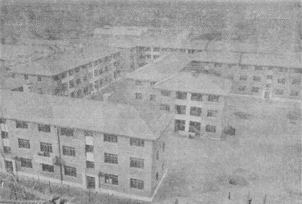 354.jpg