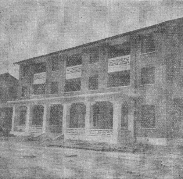 356.jpg